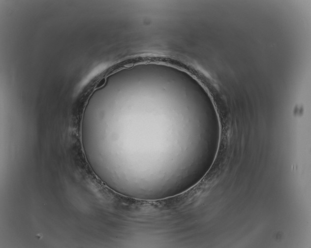 X0000092261255200709281157