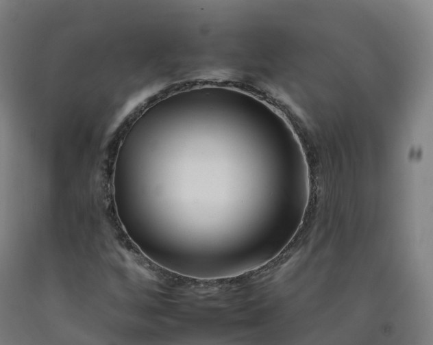 X0000092261256200709281157