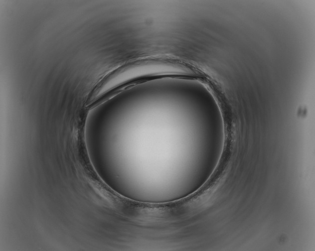 X0000092261257200709281157