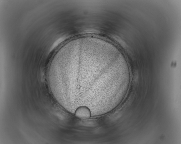 X0000092261258200709281157