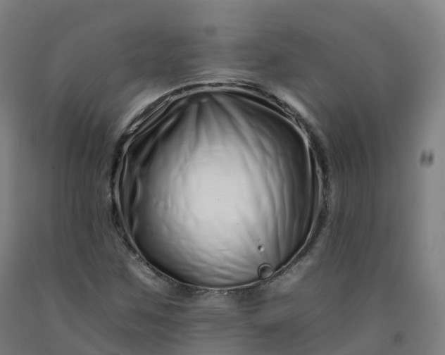 X0000092261259200709281157