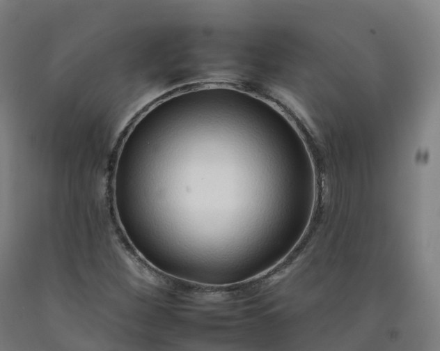 X0000092261260200709281157