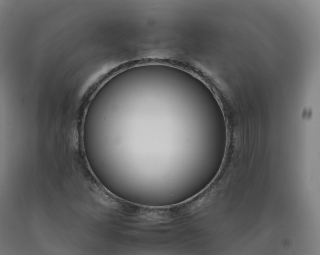 X0000092261262200709281157