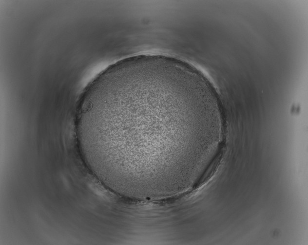 X0000092261263200709281157