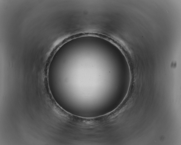 X0000092261264200709281157