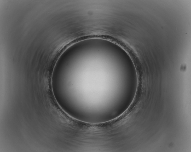 X0000092261265200709281157