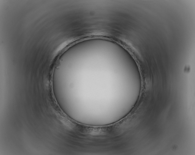 X0000092261266200709281157