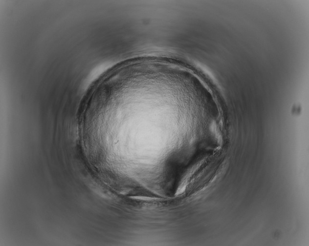 X0000092261267200709281157