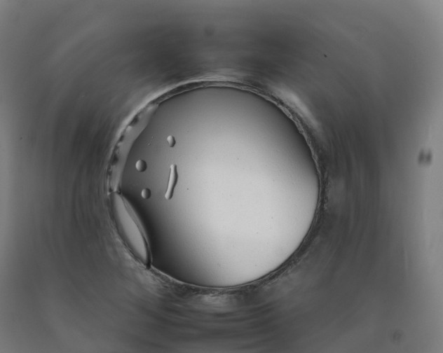 X0000092261268200709281157