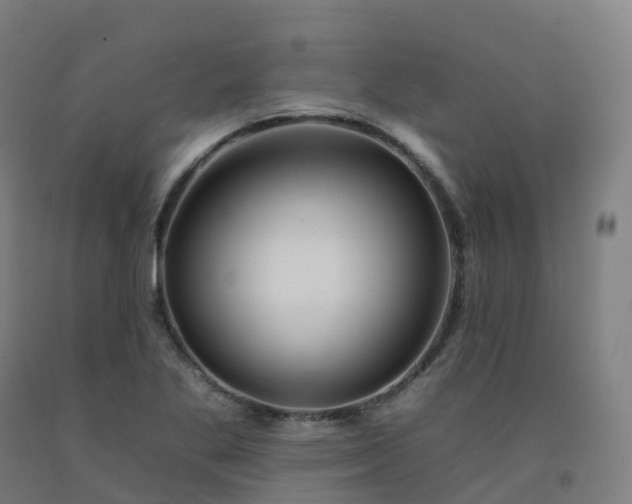 X0000092261269200709281157