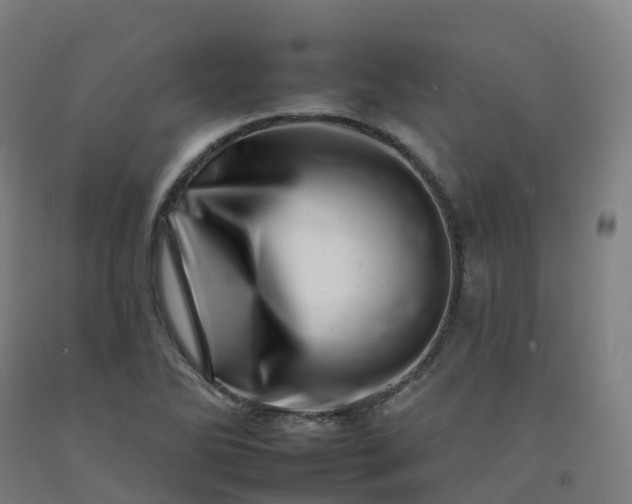 X0000092261270200709281157