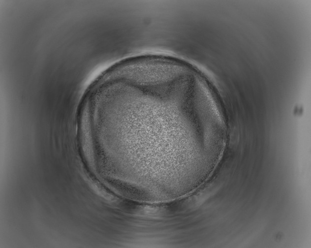 X0000092261271200709281157