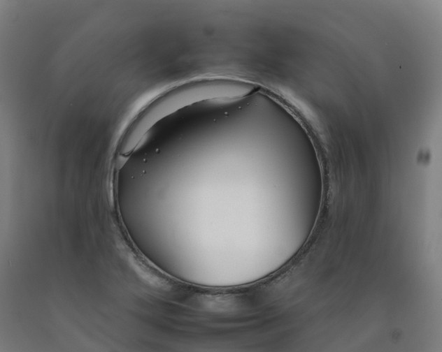 X0000092261272200709281157