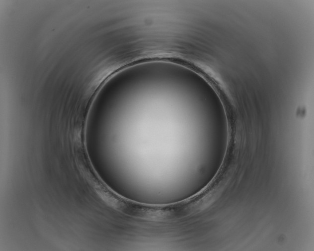 X0000092261273200709281157