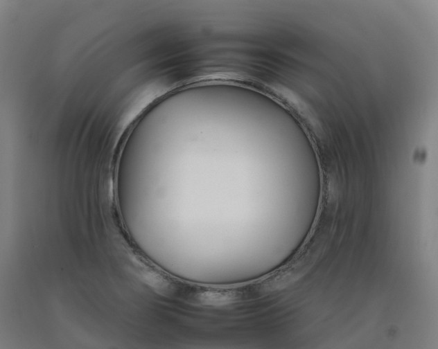 X0000092261274200709281157