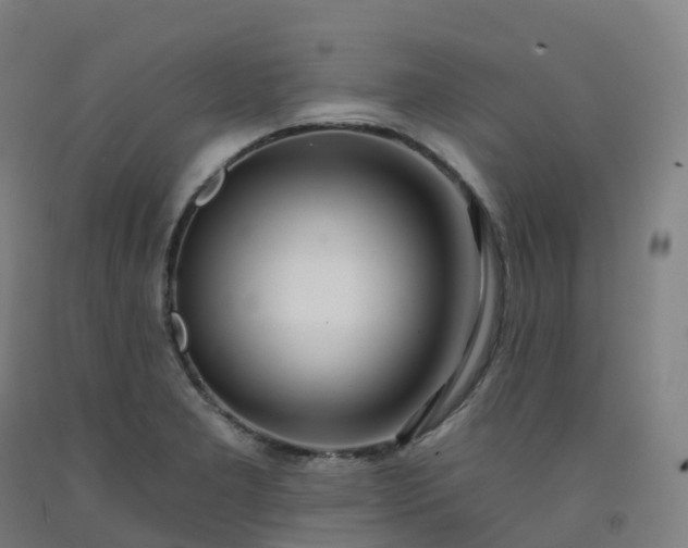 X0000092261277200709281157