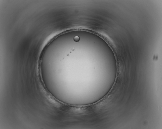 X0000092261278200709281157