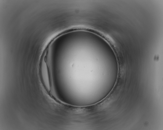 X0000092261279200709281157