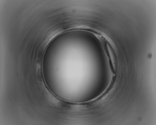 X0000092261281200709281157