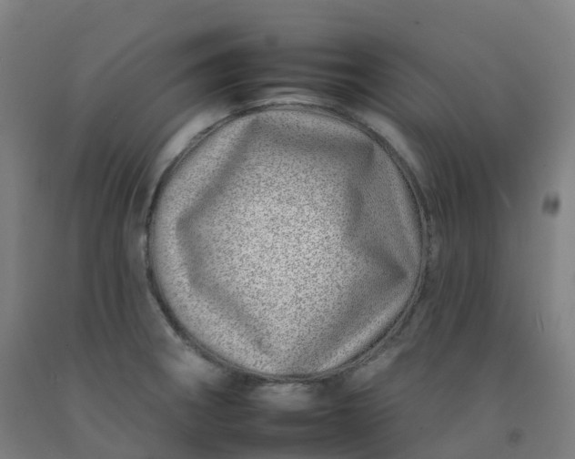 X0000092261282200709281157