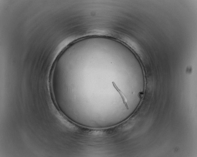 X0000092261283200709281157