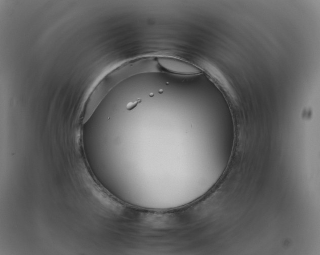 X0000092261284200709281156