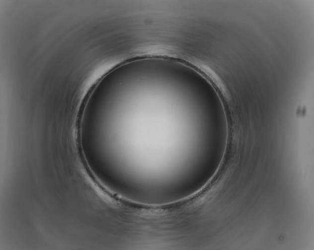 X0000092261285200709281156