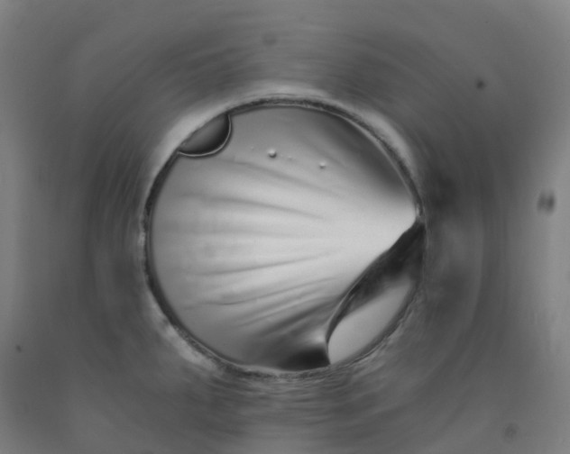 X0000092261287200709281156