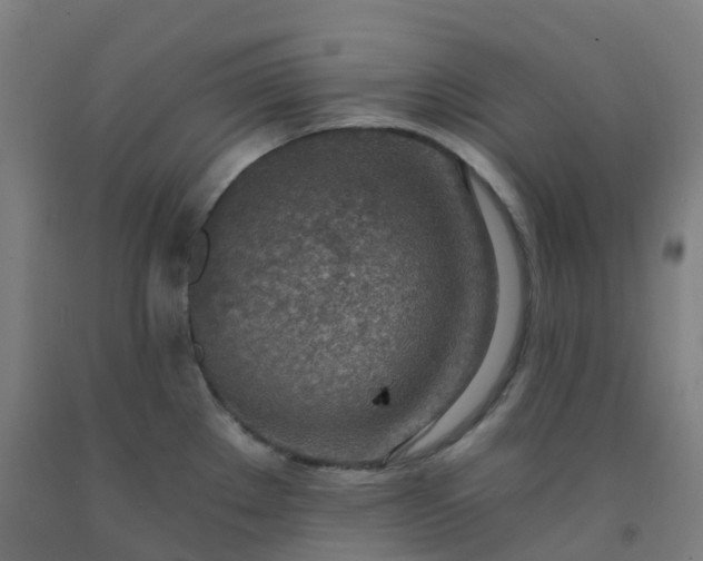 X0000092261289200709281156