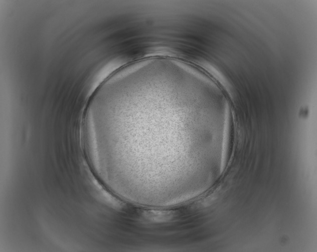 X0000092261290200709281156