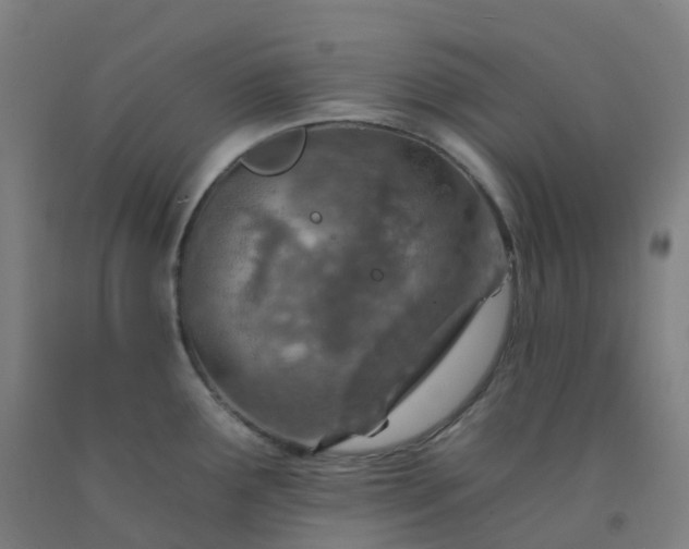 X0000092261291200709281156