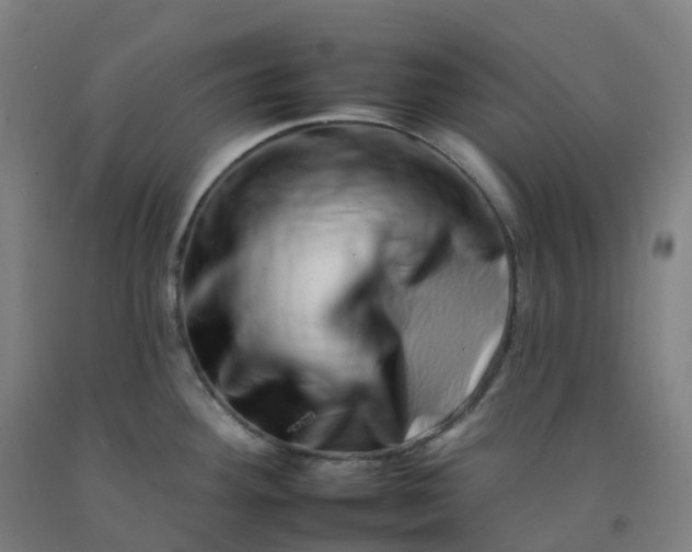 X0000092261292200709281156