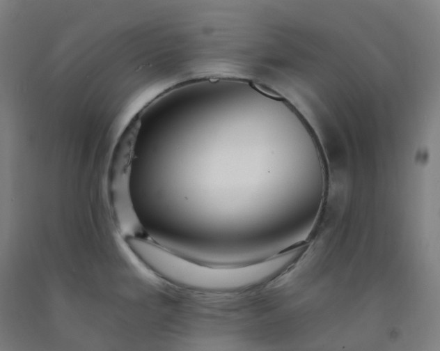 X0000092261293200709281156