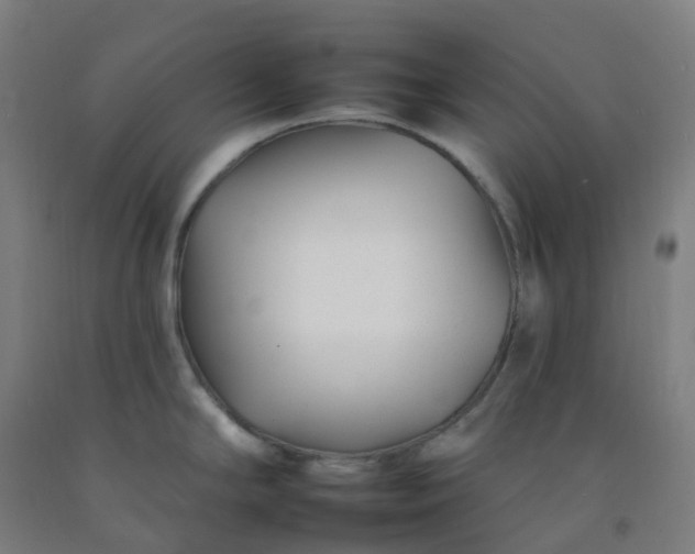 X0000092261294200709281156