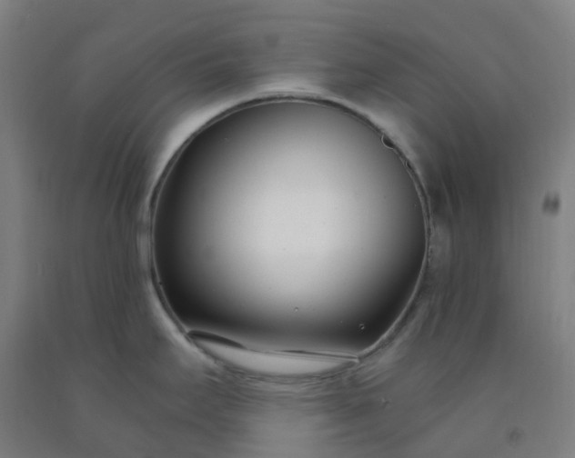 X0000092261295200709281156