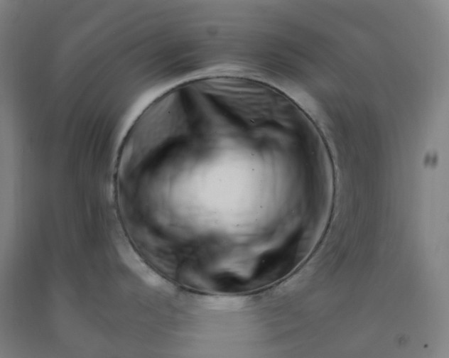 X0000092261296200709281156