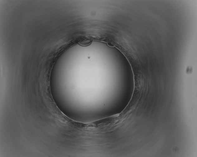 X0000092261297200709281156