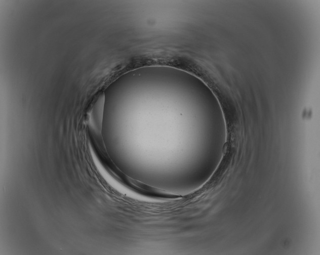 X0000092261298200709281156