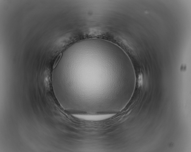 X0000092261299200709281156