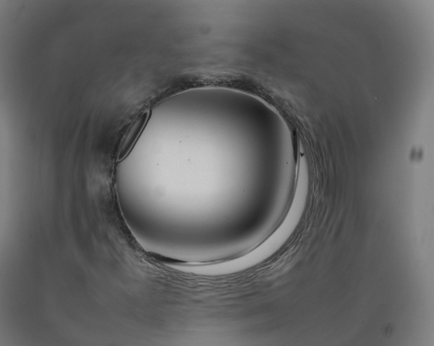 X0000092261300200709281156