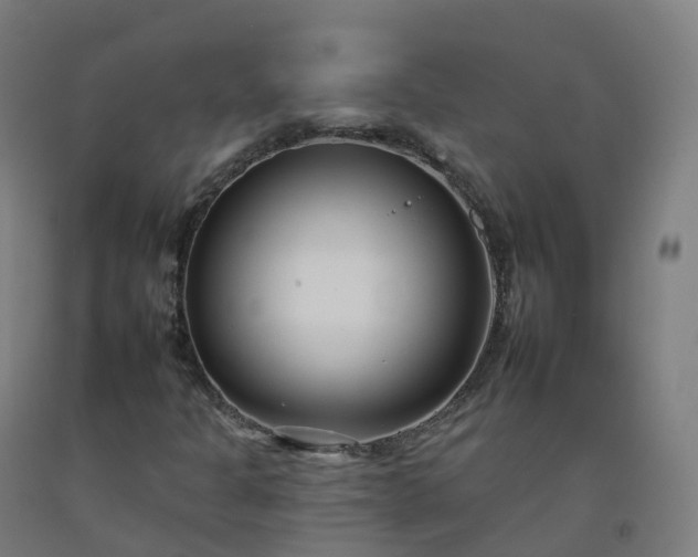 X0000092261301200709281156