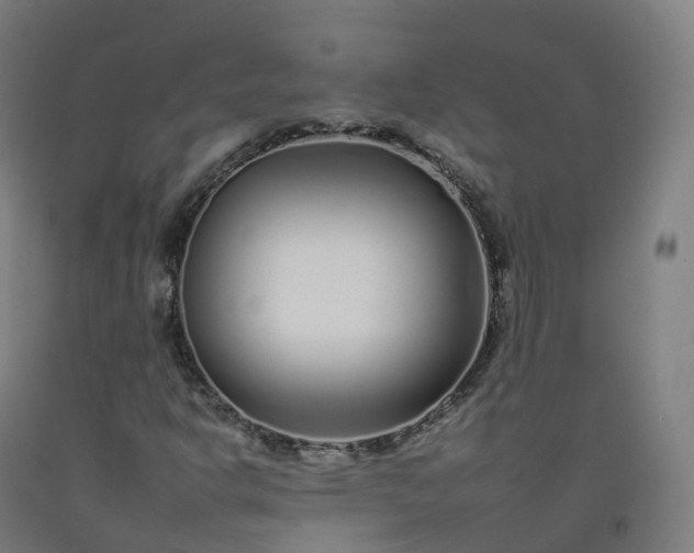 X0000092261302200709281156