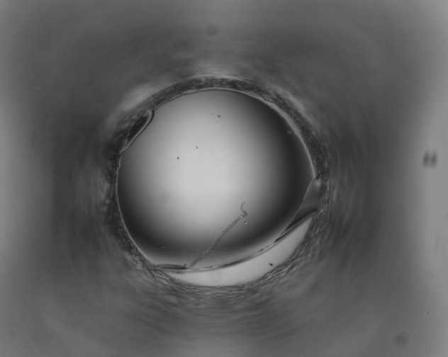 X0000092261303200709281156