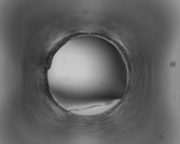 X0000092261304200709281156