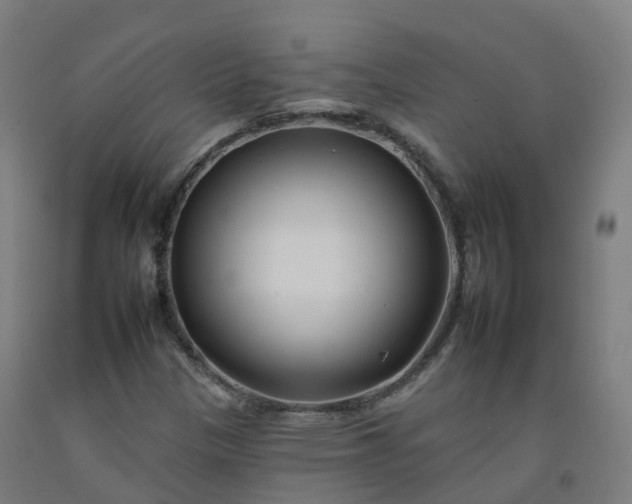 X0000092261305200709281156