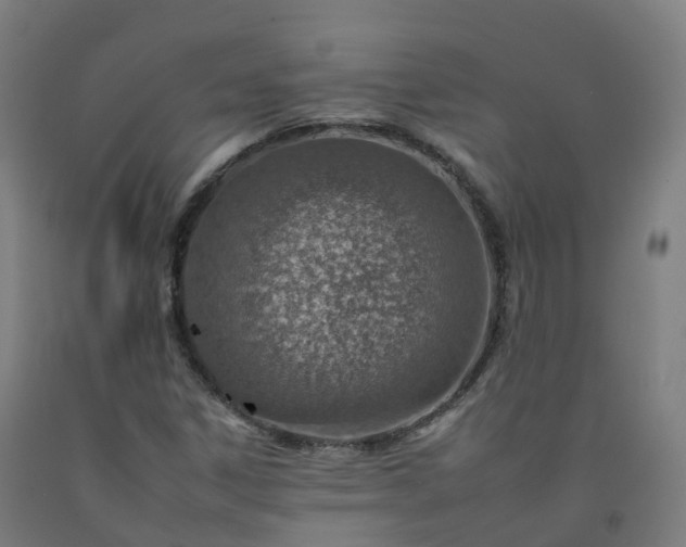 X0000092261306200709281156