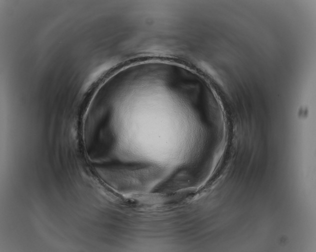 X0000092261307200709281156