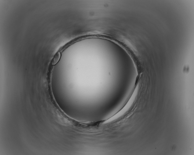 X0000092261308200709281156