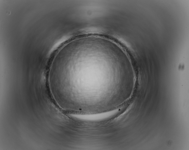 X0000092261309200709281156