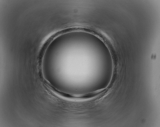 X0000092261310200709281156